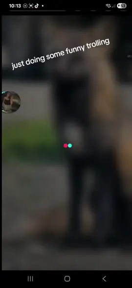 #fyp