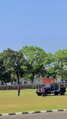acok mabuak mabuakan🤮🫣 #semaba56#tniau #casistnipolri 
