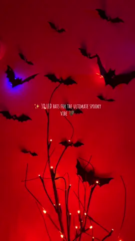 Create a spooky aesthetic in seconds with these 3D LED Bat Lights 👻🎃 #HalloweenDecor #BatLights #SpookySeason #LEDLights #HalloweenVibes 