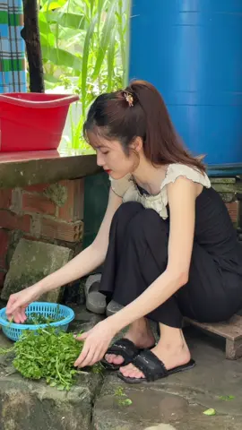 #mientay #tiktok #xuhuongtiktok #angiang67 