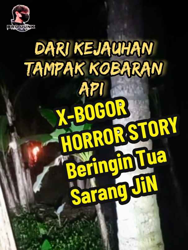 X-BOGOR HORROR STORY  #horror #vlogmisteri #livehighlights @🕊️ ADIPATI MERPATI 🕊️ @untungimam7 @duken190 @tyasnaning0610 @putri.salju216 @👤QAZA 🤗🤓🤔 @semua orang 