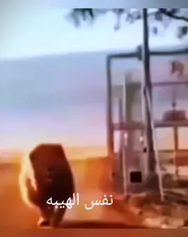 🇸🇦💪🇾🇪