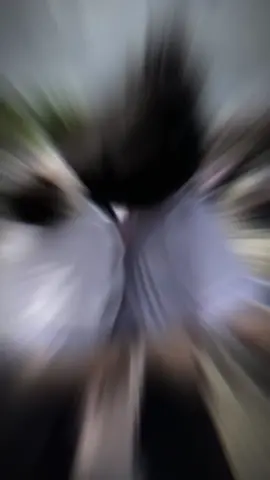 #CapCut 