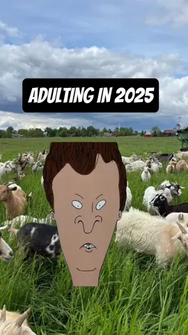 #Meme #CapCut #adulting #facts #life 