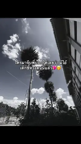 #เธรด #สตอรี่ความรัก #รักไอ้อ้วนมากนะค้าบ🐷 #ฟิดดดดดดดดดดด🥺 #ฟิดดดシ @TikTok 