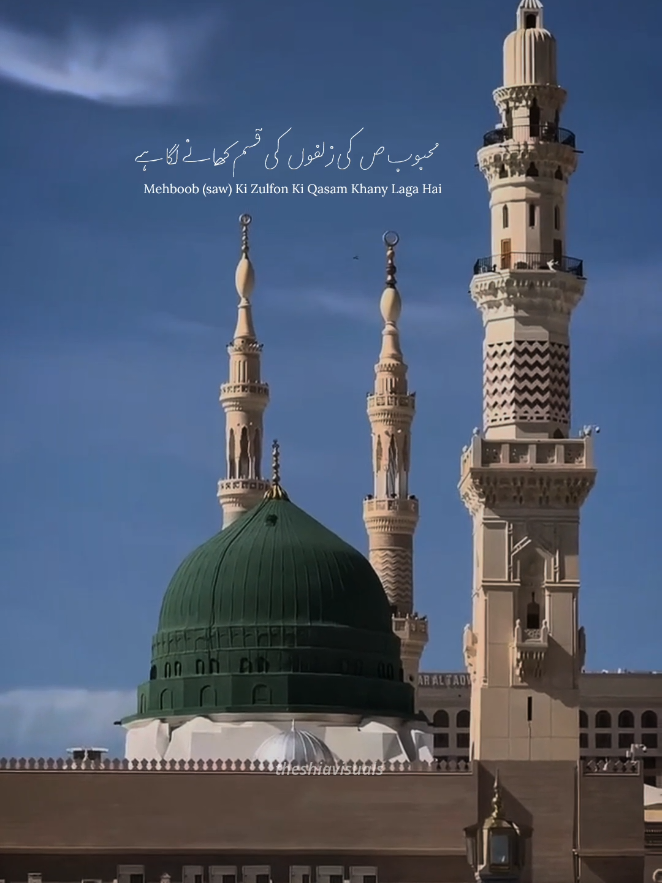 Malkoot Bhi Hairan Hein Jo Kuch Nhi Khata, Mehboob ﷺ Ki Zulfon Ki Qasam Khany Laga Hai💚✨ . #17rabiulawal #12rabiulawal #shiastatus #shiacontent #shiavideos 