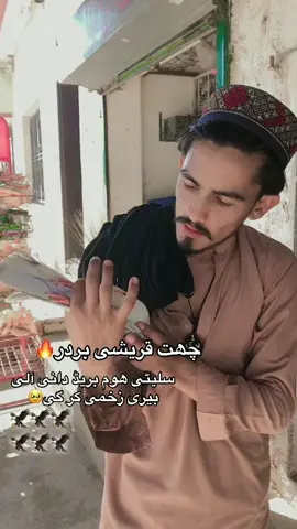 #kidr Kidr kaboutar baz Zahmi kr rha ha😭🥺##@Mirzarehan @Khawaja Awais @❤️ঔৣÐâřҟŦﺂℜêঔৣ❤️ 