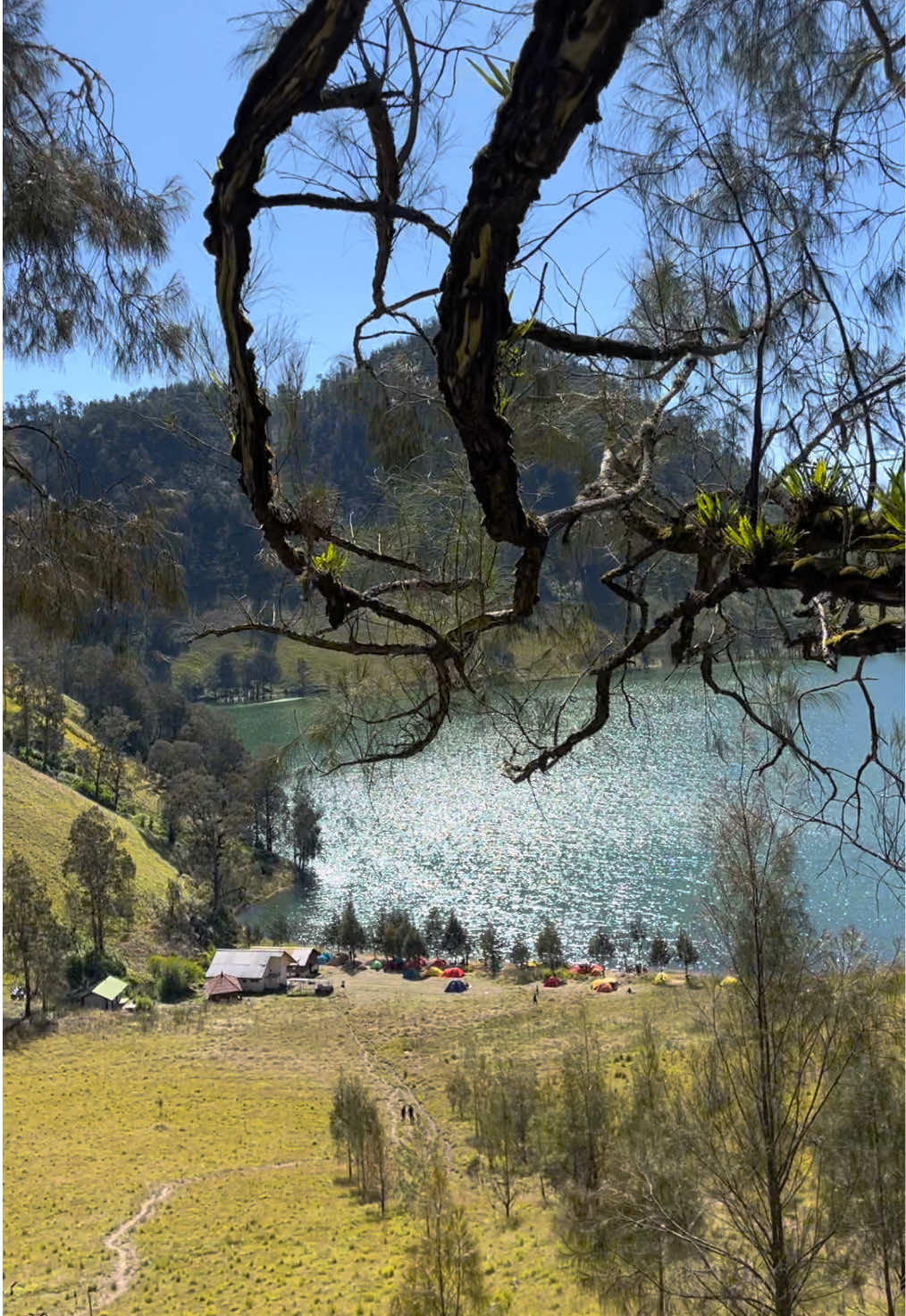 Cantik banget ranu kumbolo🥹 Rasanya pengen balik kesana lagi, I’ll see you again very soon!! #ranukumbolosemeru #semeru 