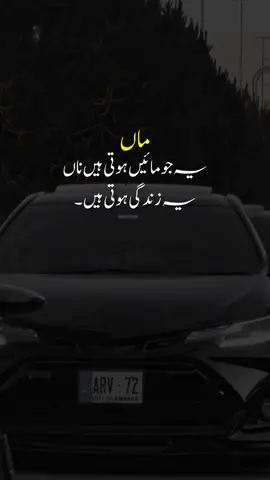 bilkul🫶🫀🫠🤲 #1milionaudition #easthetic #foryou #poetrystatus #foryoupage 