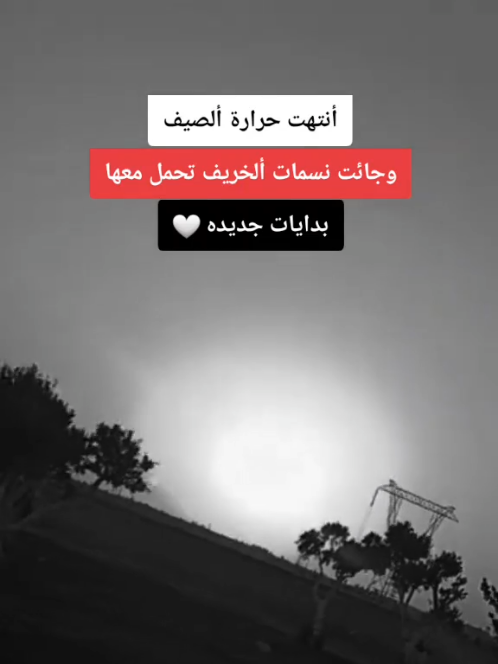 #عبارات#فخمه#للعقول_الراقية_فقط #foryoupage #f 
