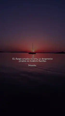 🗿 #estoicismo #estoico #firmesydignos 