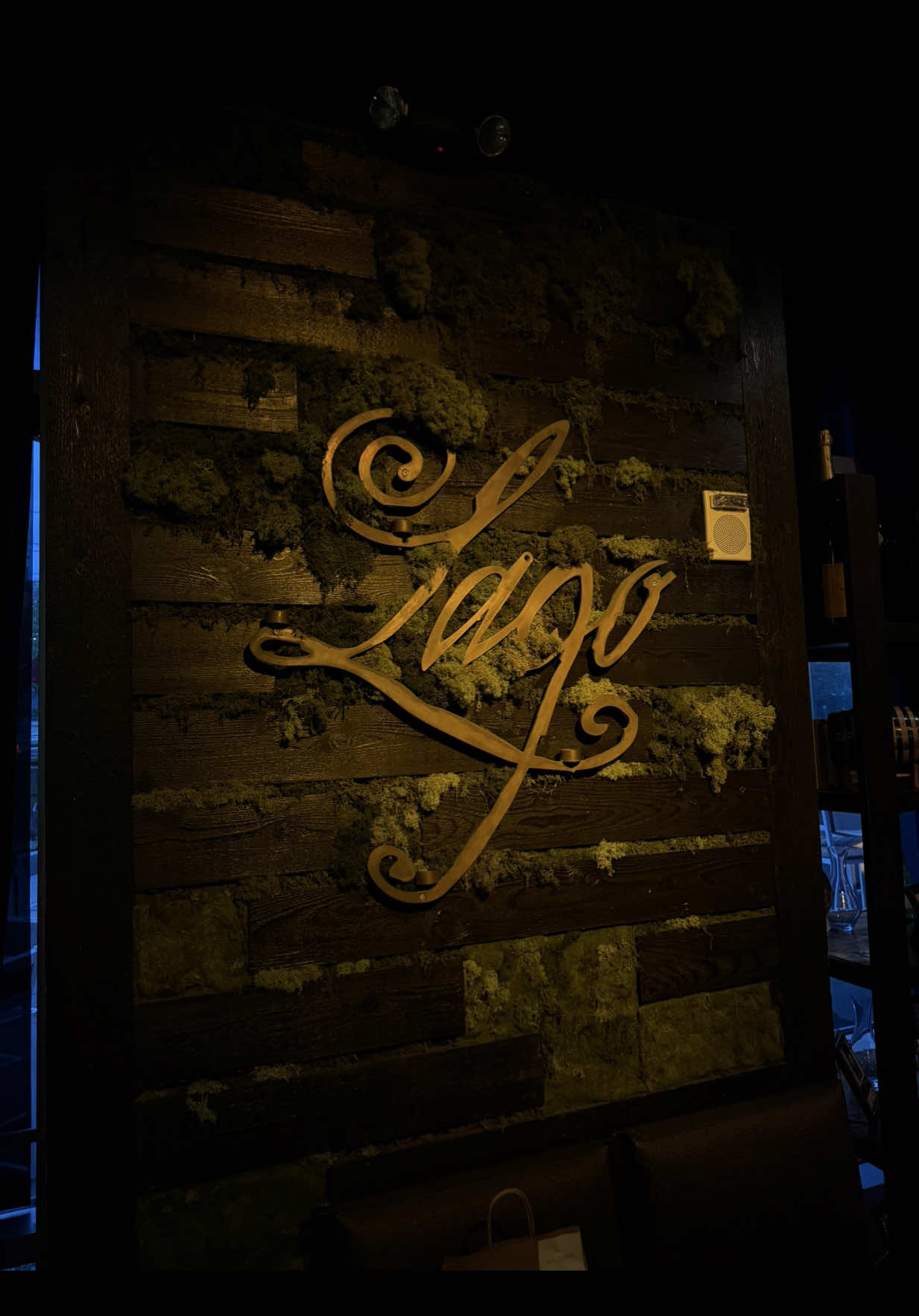📍Lago! In The Flats Is a Great place to go!! Everything was top tier😮‍💨🤏🏾 #lagoeastbank #placestoeatincleveland #clevelandeats #finedinning #datenight 
