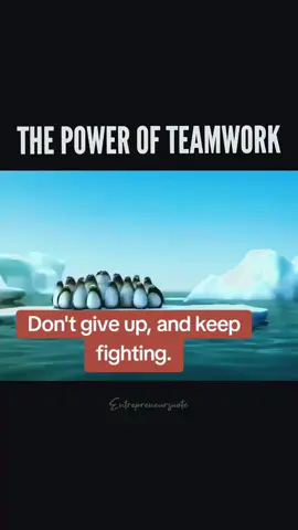 #keepsupporting #keepfighting🌈🤍❤️  #dontgiveup  #wewantjustice  #justice4ZARAQAIRINA 
