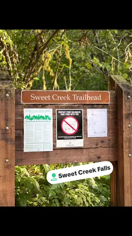 #orehonhikes #sweetcreektrailoregon 