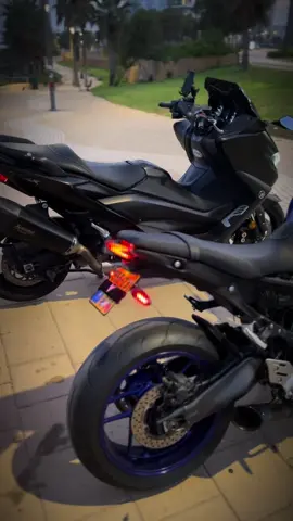 #09🦅 #560 