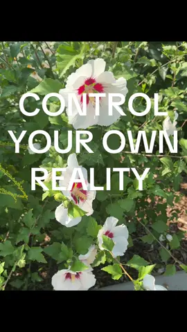 u know this is abt u #selfconcept 
