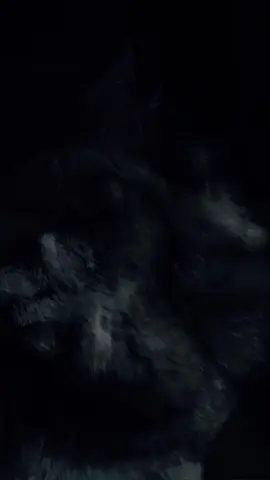 #CapCut 