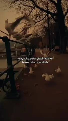 #fyppppppppppppppppppppppp 