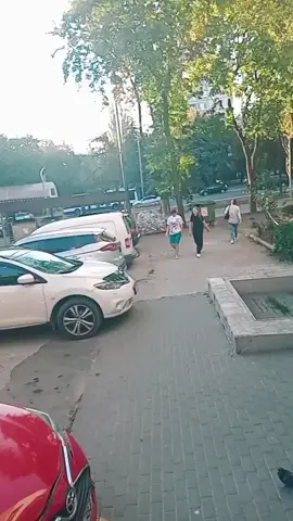 #рекомендации 