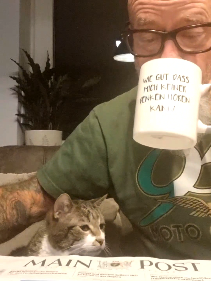 Wie gut dass es jetzt schon Freitag ist 😉👍🐈 #catlover #catontiktok #lovecat #cat #beardedbadboysgermany 