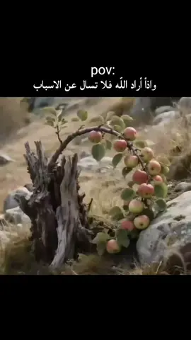 تركتها لك يالله فٱتني بها كما شئت فٱنك ما تشاء الا ماكان  خير لي💛🕊️😴#متابعه_ولايك_واكسبلور_فضلا_ليس_امر 👍💛