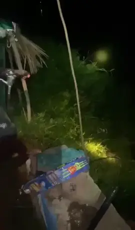 ដល់ខែពេញលេងហើយមេៗ🐠🐟