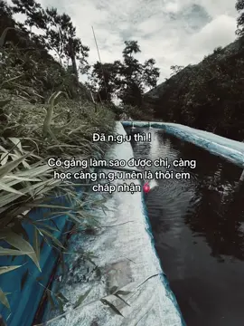 Đã n.g.u rồi chớ🫀#duydung_01 