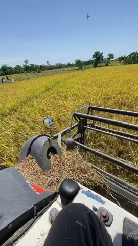 Wajo rasa pasang sappa🤣🤣 #kubotadc70plus #pejuangkeluarga #fyppppppppppppppppppppppp #operatormudapunyacerita 