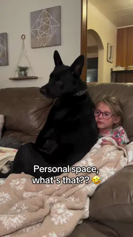 Nope not a thing #fyp #dogsoftiktok 