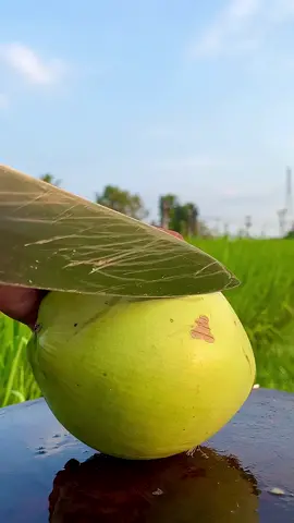 this is Coco  #klamud #kelapa #coco #fyp #viral 
