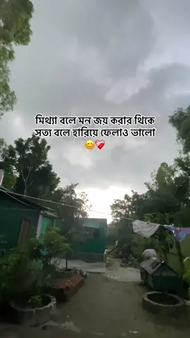 মিথ্যা বলে ভালো সাজার থিকে সত্য বলে খারাপ থাকা অনেক ভালো 😊❤️‍🩹🌺#vfypシ゚viral #foryou #viral 