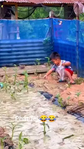 hjhj 😂😂🤣🤣🥰🥰🥰