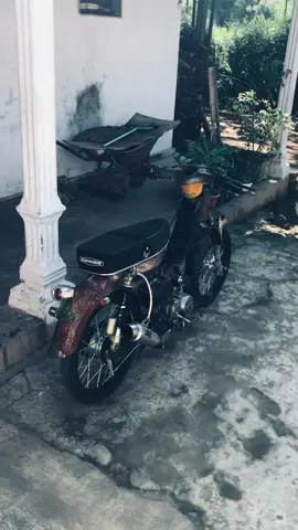 #fyp #c70 #pitunggank🤙 