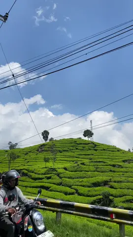 📍CIWIDEY.                                           yang mau ke bandung wajib kesini ya, viewnya bikin candu #ciwidey #bandung #fyp #explore #jawabarat 