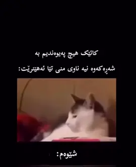 تکایە ڵایکی پۆستەن لبیر نەچێ 😂