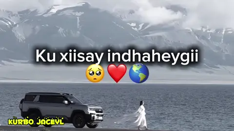 # i miss you🥺❤️#majiraa qof u xistay mection..kudheh videogan.❤️#@𝗤𝗮𝗹𝗯𝗶 𝗮𝗵𝗺𝗲𝘁𝘁.👸👑🌷 #foryoupage❤️❤️ 