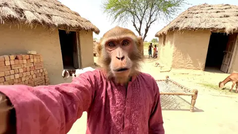 Faraz! Next naam comment krein 😁❤️ #monkey #viral #trending #foryou #fyp 