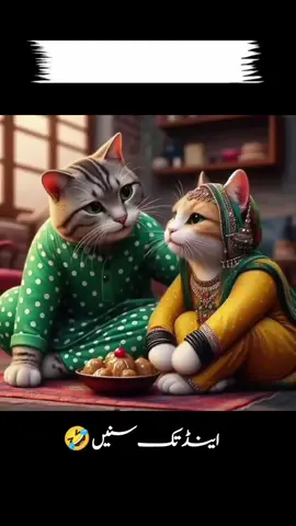 please Tiktok team don't under review my videos please 🙏@ᒪᗩᎥᗷᗩᗯᖇᎥ丅ᗴᔕ🥰 @TiktokPakistanOfficial @zofiaa0314 #fyp #foryoupage #trending #viral #views 