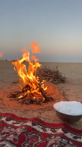 #البل 