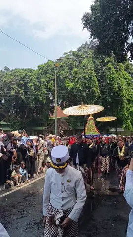 Keramaian Gerebek Mulud di keraton yogyakarta hari ini #jogjaupdate  #mauludnabimuhammad  #yogyakartaistimewa  #fyp  #viral 