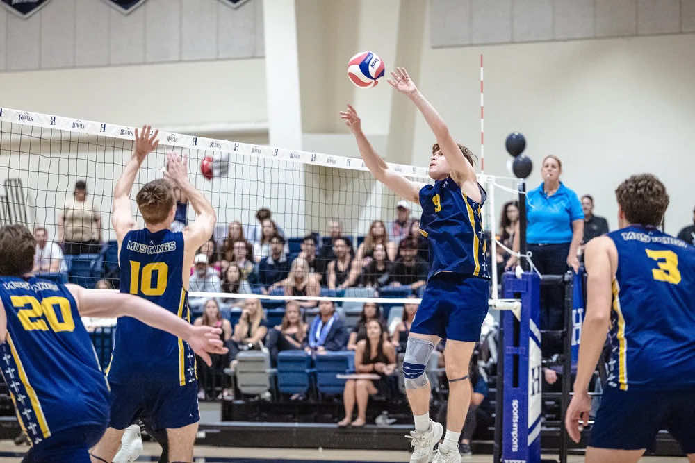 They never saw it coming 🏐 Looking for an online degree? Apply today for our 100% online undergraduate and graduate level programs through TMU Online at the link in our bio. Use code “tmumvolleyball” to waive the application fee. “But the wisdom from above is first pure, then peaceable, gentle, open to reason, full of mercy and good fruits, impartial and sincere.” - ‭‭James‬ ‭3‬:‭17‬ ‭ #volleyball #voleibrasil #vôlei #voleibol #haikyuu