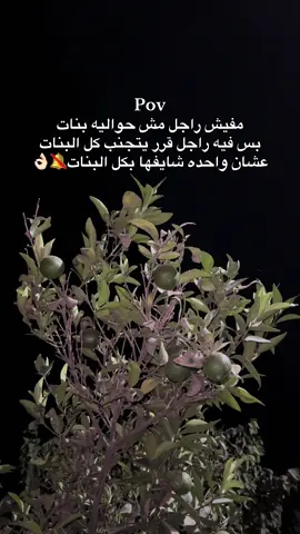 #creatorsearchinsights #العباره_الاجمل_تستحق_التثبيت📌 #فولو_اكسبلور_تفاعل_لايك🥺🖤 #متنساش_الفولو_والايك🥺🤍 #تصميم_فيديوهات🎶🎤🎬 