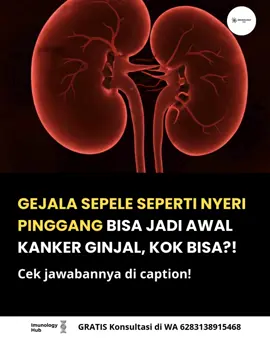 Nyeri pinggang sering banget dianggap hal sepele. “Ah, cuma salah tidur”, “paling karena kecapekan”, atau “gara-gara duduk kelamaan”. Tapi, kok bisa sih gejala sederhana kayak gini dikaitkan dengan kanker ginjal? 🤔 Jawabannya: karena ginjal terletak di area pinggang, dan saat sel kanker mulai tumbuh, jaringan di sekitar ginjal bisa tertekan atau mengalami peradangan. Akibatnya, muncul rasa nyeri yang mirip dengan keluhan sehari-hari. Itulah kenapa banyak orang salah mengira dan akhirnya terlambat menyadari. Faktanya, kanker ginjal sering disebut “silent killer”. Pada tahap awal, gejalanya samar-samar: 🔴 Nyeri pinggang yang tak kunjung reda 🔴 Adanya darah dalam urine meski tanpa rasa sakit 🔴 Benjolan atau rasa penuh di perut samping 🔴 Tubuh terasa lemas dan berat badan turun tanpa sebab Kenapa imun tubuh ikut berperan? Sistem imun seharusnya bisa mendeteksi sel abnormal sejak dini. Tapi, kalau sel kanker lebih agresif atau imun tubuh lemah, pertahanan ini bisa ditembus. Hasilnya? Sel kanker berkembang diam-diam, tanpa disadari, sampai akhirnya terlambat ditangani. Itulah kenapa nyeri pinggang jangan dianggap enteng. Bisa jadi itu bukan sekadar capek, tapi alarm tubuh kalau ada sesuatu yang lebih serius sedang terjadi. 🚨 👉 Jangan tunggu sampai parah. Jika kamu atau orang terdekat punya gejala seperti ini, segera konsultasi gratis via WhatsApp 083138915468 📲 Dan pastikan follow akun ini supaya kamu nggak ketinggalan informasi penting lain seputar kesehatan dan pencegahan penyakit mematikan.