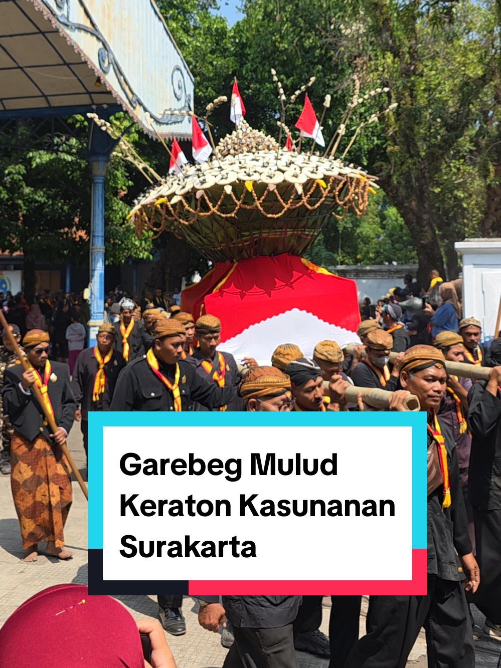 Dalam tradisi Jawa khususnya di lingkungan Keraton Kasunanan Surakarta, ada tiga garebek utama yaitu Garebeg Pasa yang dilaksanakan untuk menyambut Idulfitri, Garebeg Besar yang dilaksanakan pada saat Iduladha, dan Garebeg Mulud yang dilaksanakan untuk memperingati Maulid Nabi Muhammad SAW. Garebeg Mulud menjadi garebek yang paling ramai antara ketiga garebek tersebut. Garebeg Mulug merupakan puncak acara dari Sekaten. Di Keraton Kasunanan Surakarta, prosesi Garebeg Mulud dimulai dengan masuknya gamelan Sekaten ke dalam keraton. Puncak tradisi Sekaten yaitu keluarnya gunungan-gunungan. Pada Garebeg Mulud, ada empat gunungan yang nantinya akan diperebutkan. Ada dua Gunungan Jaler dan dua Gunungan Estri. Dan ini beberapa cuplikan dari Garebeg Mulud yang diabadikan lewat mata lensa Galaxy S25 Ultra. 📱 Galaxy S25 Ultra #jawa #garebegmulud #kasunanansurakarta  #keratonsolo #sekaten #sekatensolo #fyp #solo24jam #samsung #android  #galaxys25ultra #bayJoee 