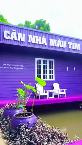 Coffee - Phim trường Căn nhà màu tím, số 99, Đ. Chí Sinh, P. Hưng Phú. TP. Cần Thơ #cannhamautimcantho #cannhamautim 