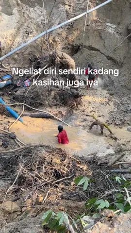 #masukstory #kulidompeng #kalimantan #fyp