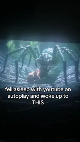 mind you i have severe arachnophobia LMAO #oops #funny #scary 