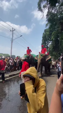 Tradisi grebek maulid jogja #grebekmaulid #kratonjogja ##jogjaistimewa#fypage#fyppppppppppppppppppppppp 