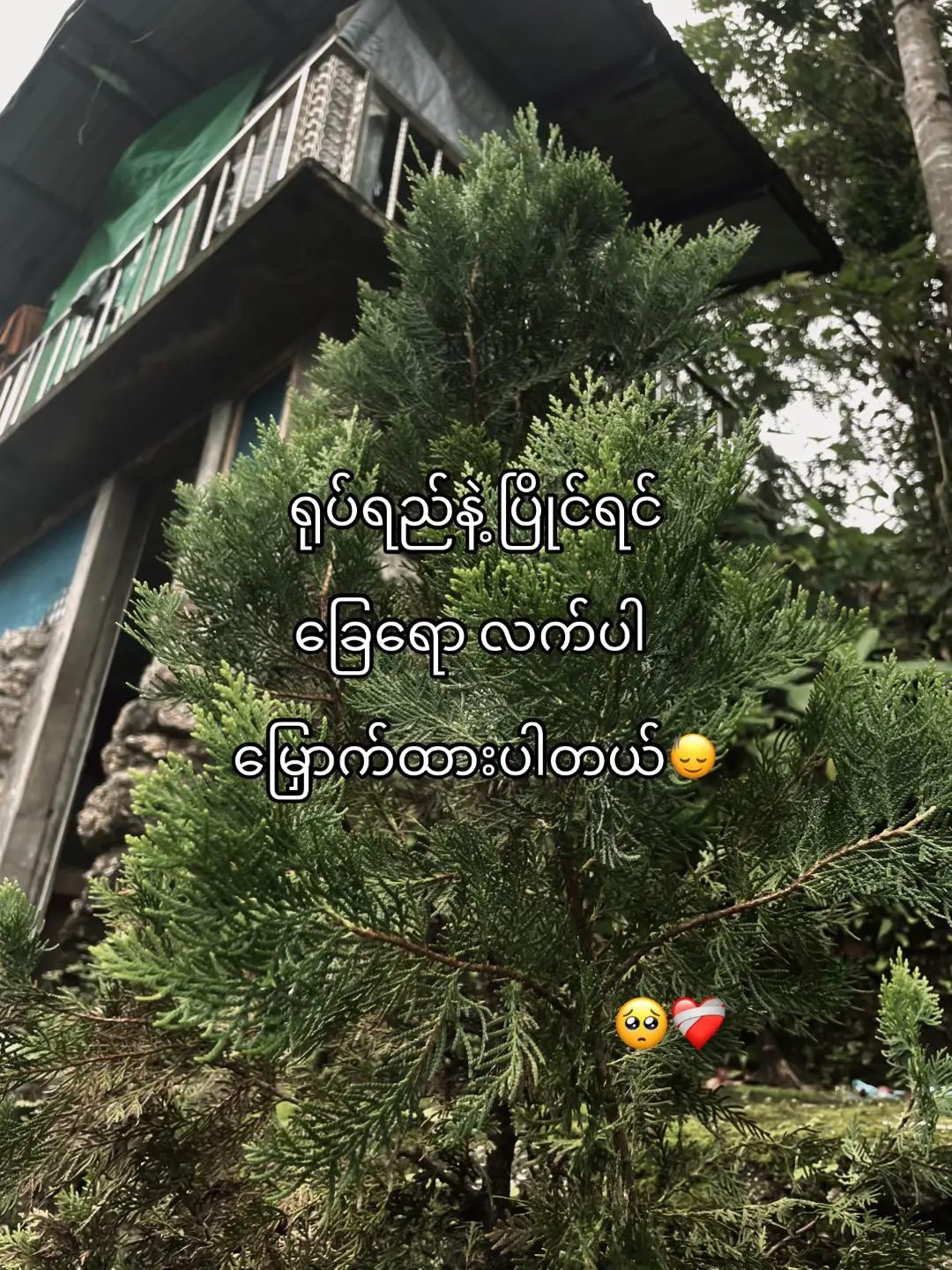 #moots? #xyzabc #kazai_m #viral 