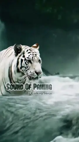 Pahing Kembange Jagad Peteng  #weton #pahing #wetonjawa #beranda #fyp 